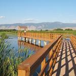 Ladd Marsh Wildlife Area