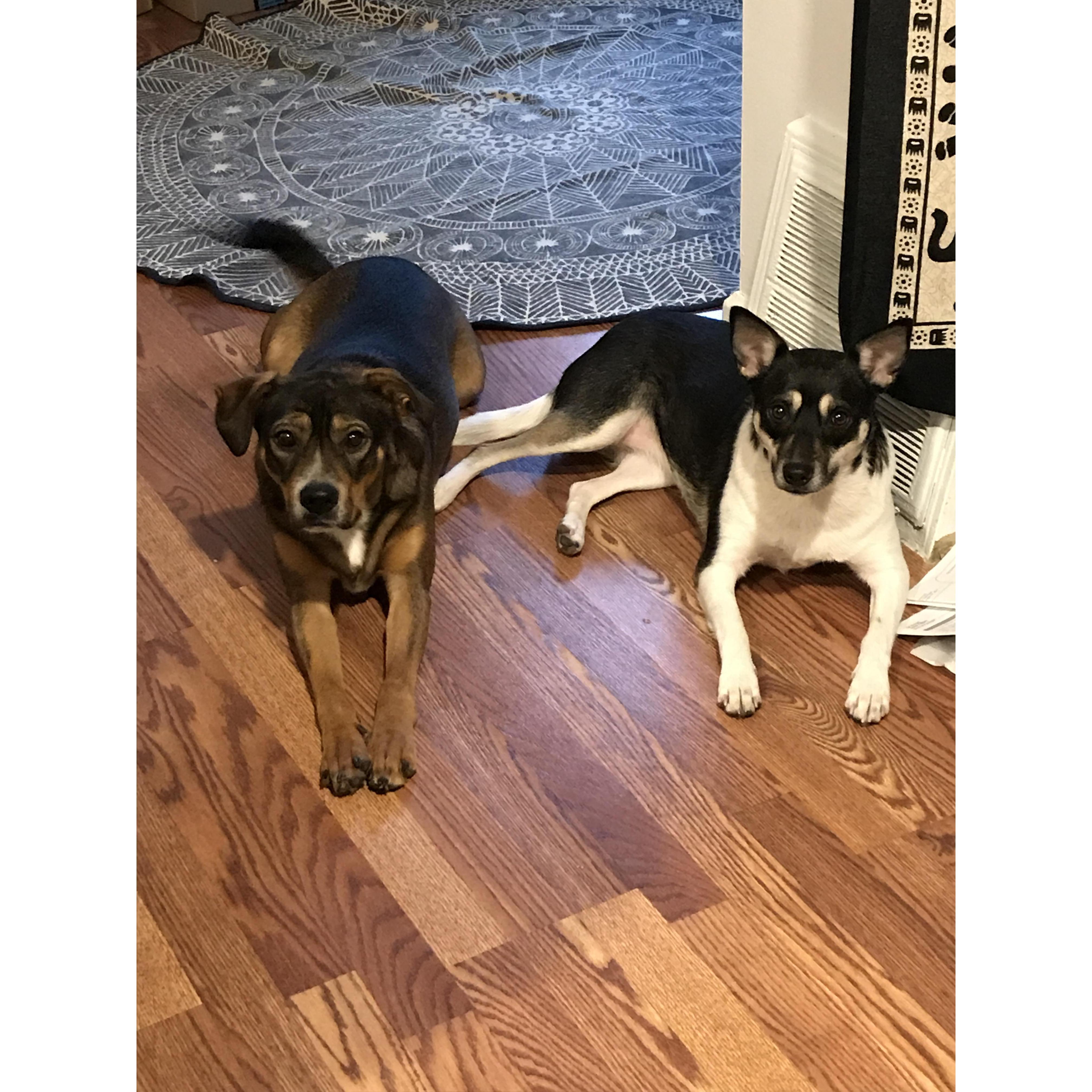 The babies