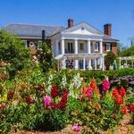 Boone Hall Plantation & Gardens