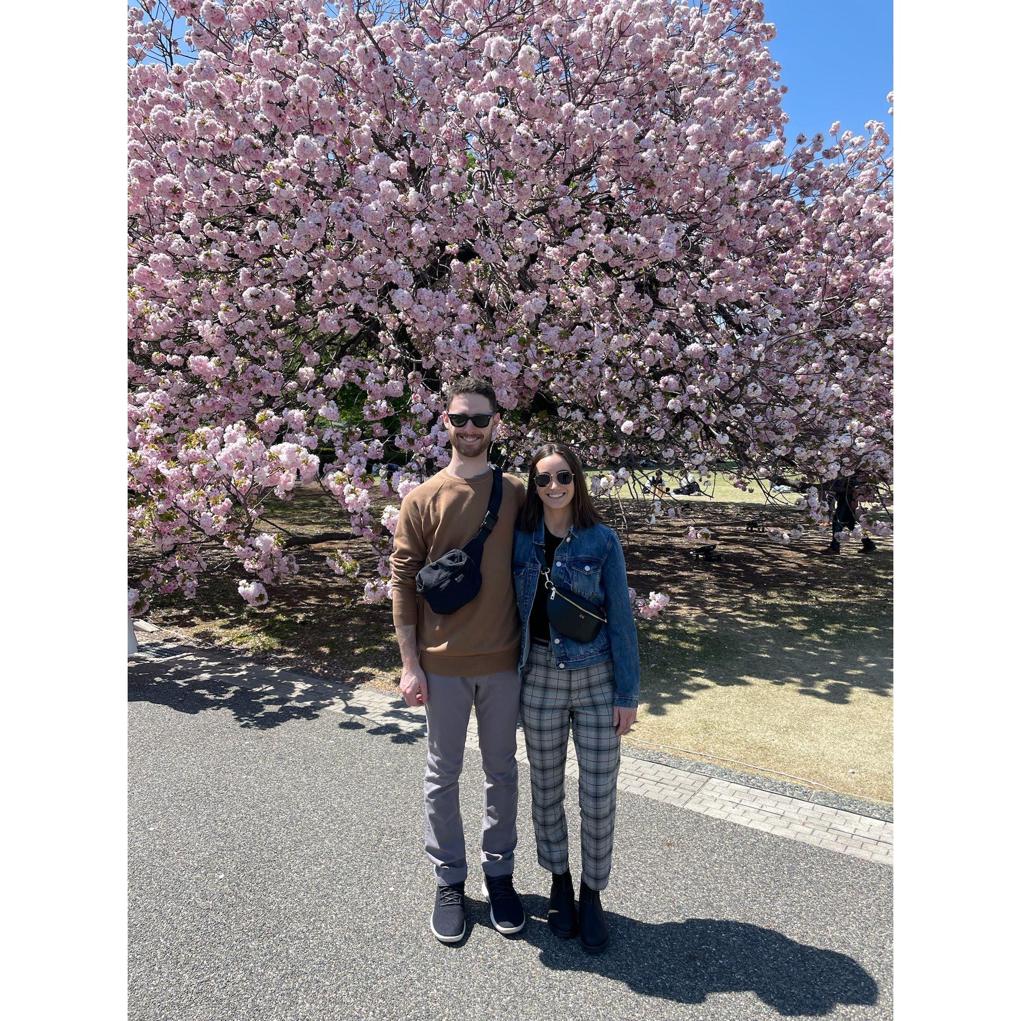 Jake and Claire take their relationship international