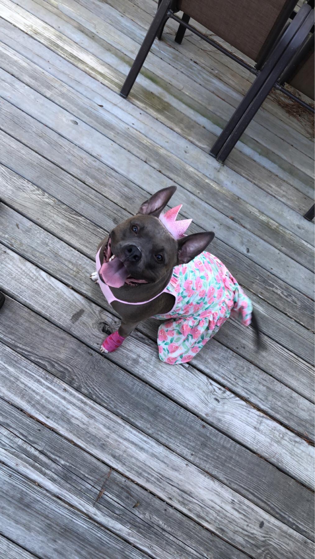 Maggie Moo Moo May Truscelli ♥️