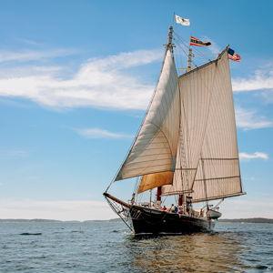 Dream Honeymoon