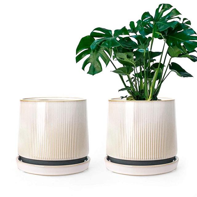 Ceramic Flower Planter Pots for Plants, 5 Inch Succulent Planters with Drainage Holes and Saucers for Indoor Plants, House Plants, Cactus, Herbs, Snake Plants, Aloe Vera, Set of 2, White