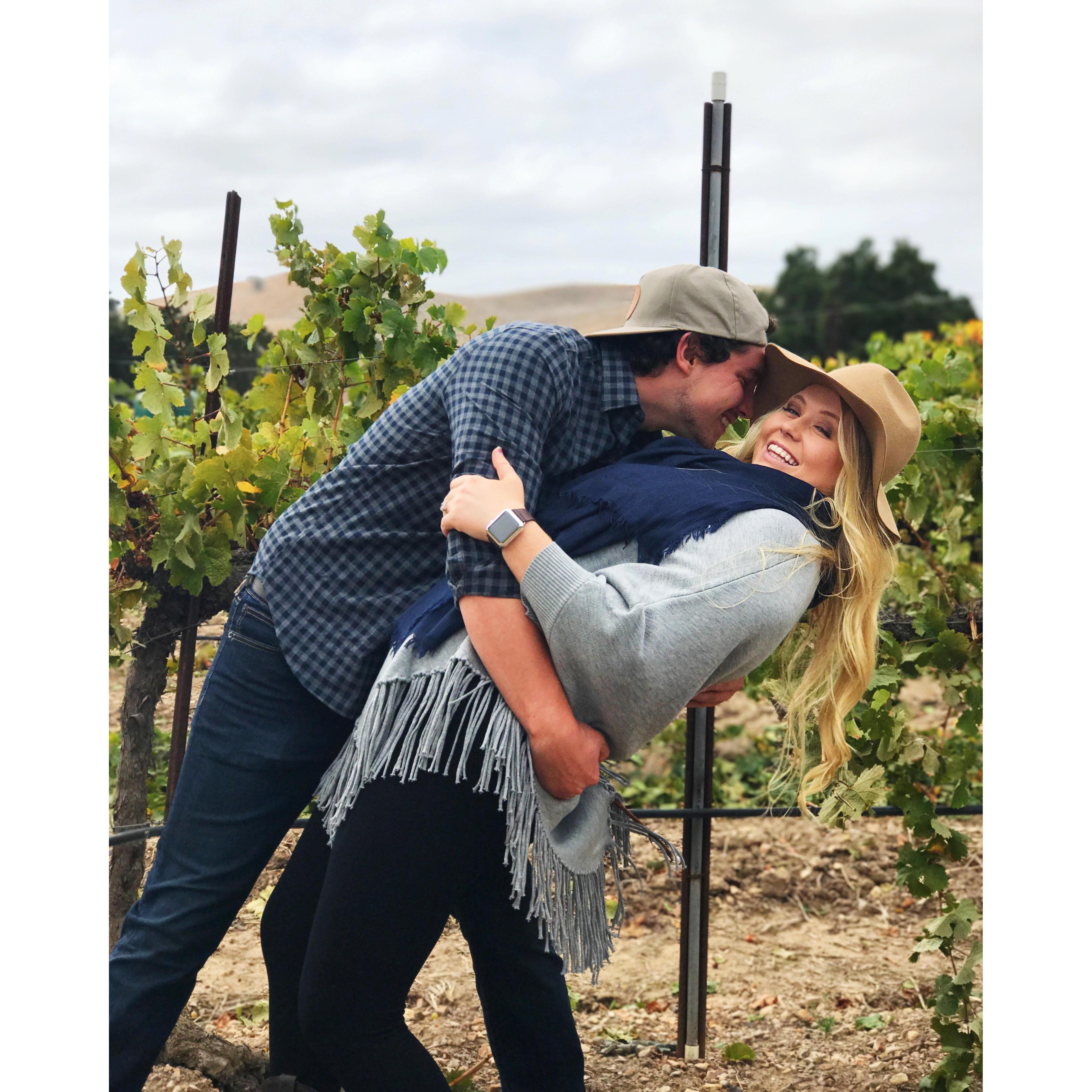 Firestone Vineyards - Santa Barbara, CA