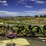 Wine Tasting