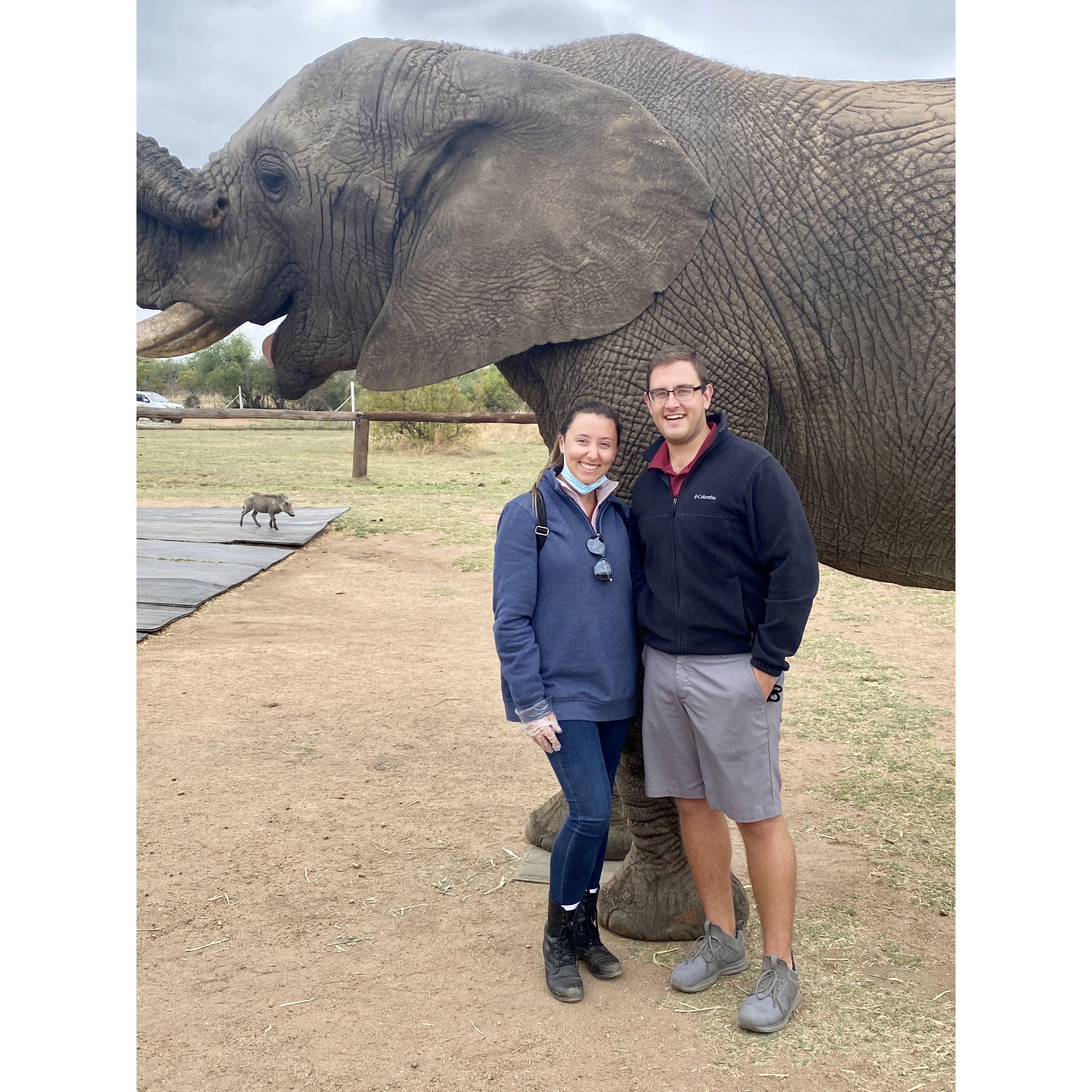 Jordan travels with Fred and his family back to his homeland of South Africa! She is blown away by the size of the African Elephants!