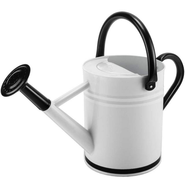 Cesun Metal Watering Can Galvanized Steel Watering Pot with Removable Spray Spout, Movable Upper Handle, 1 Gallon for Outdoors Gardening, Milk Cow