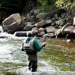 Fly Fishing, Clear Creek
