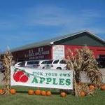 B.J. Reece Orchards