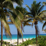 Playa Paraiso Beach Tulum