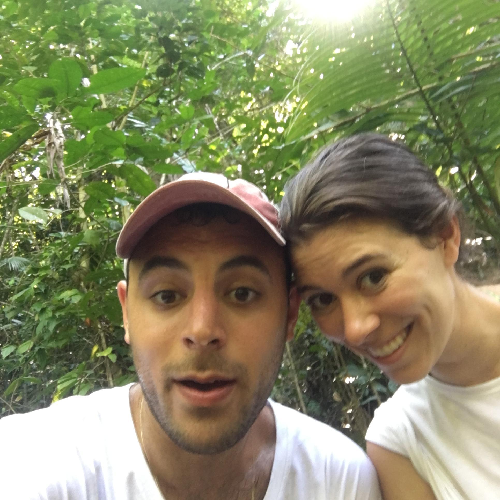 Lost in the rainforest