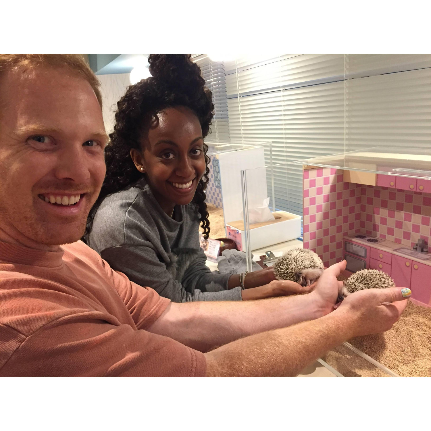 Bruk Secretly Terrified at the Hedgehog Cafe - Tokyo, Japan - April 2018