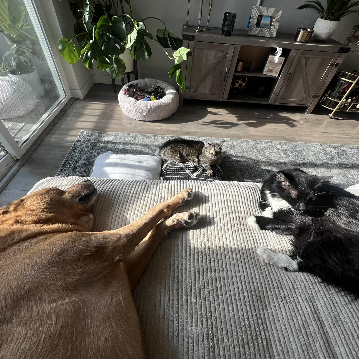 Our little family