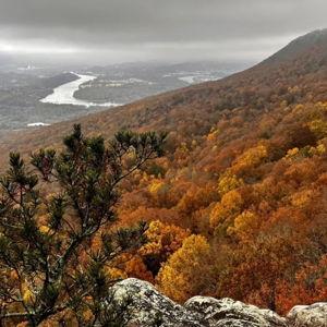 Lookout Mountain Conservancy Donation