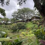 Haleiwa Joe's