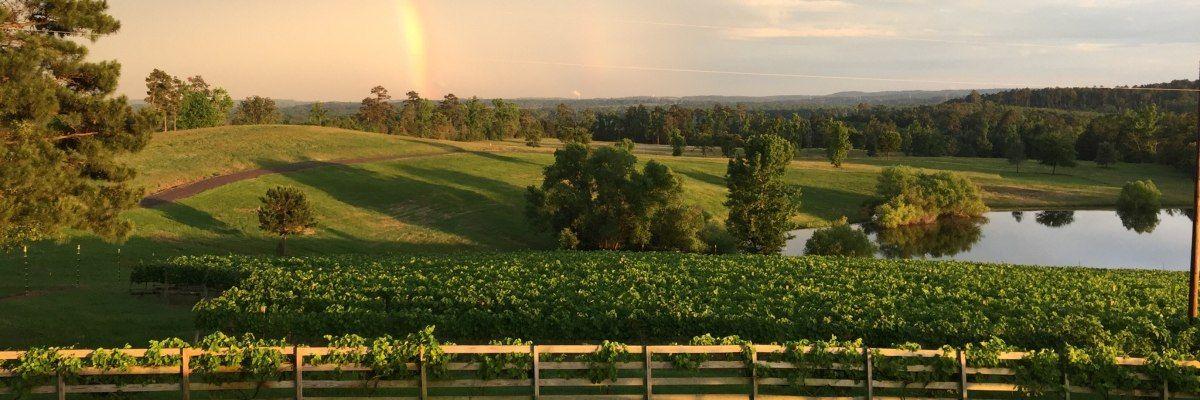 The Wedding Website of Anna Kate Semmes and Jake Courtney