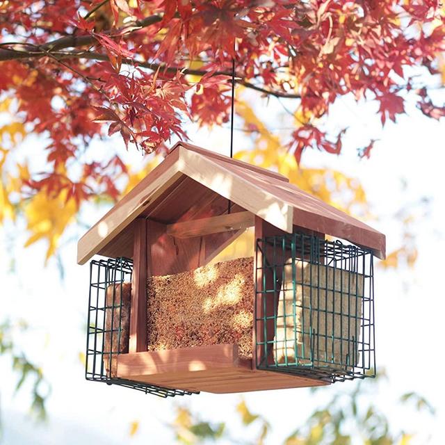 Grand Cedar Ranch Hopper Birdfeeder,Squirrel Proof, Suet Feeder Cages,Lifetime Weather Durability for Outside,Wildbirds Essentials Patio Yard, Wire Cable Hanging, Royal Red Cedar Wood