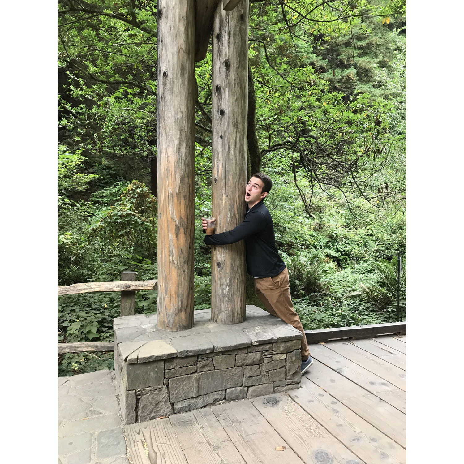 "big trees!"