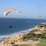 Torrey Pines Gliderport Cafe