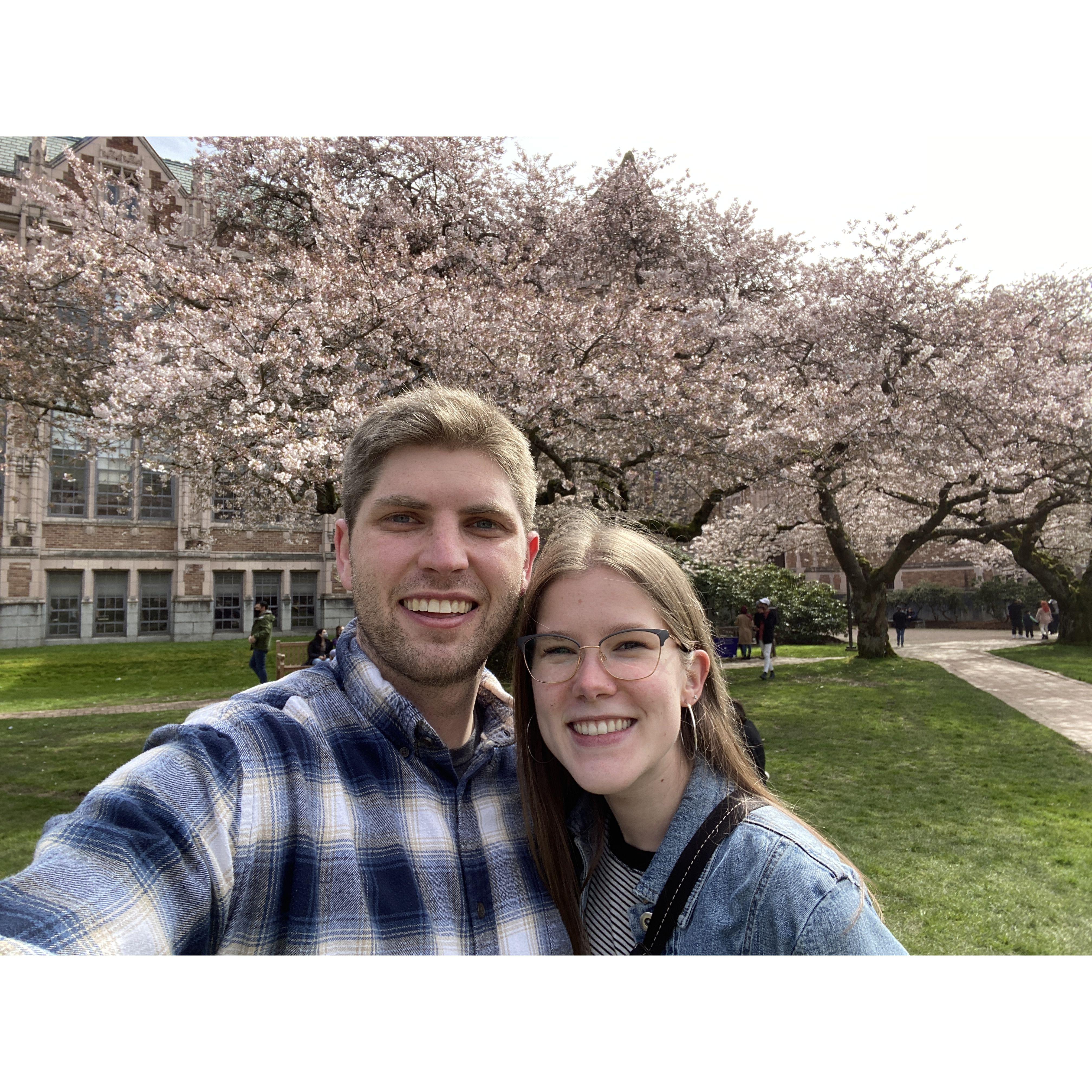 March 2021: Cherry blossoms at UW round 2!