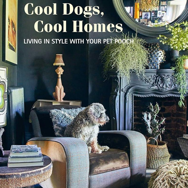 Cool Dogs, Cool Homes: Living in style with your pet pooch