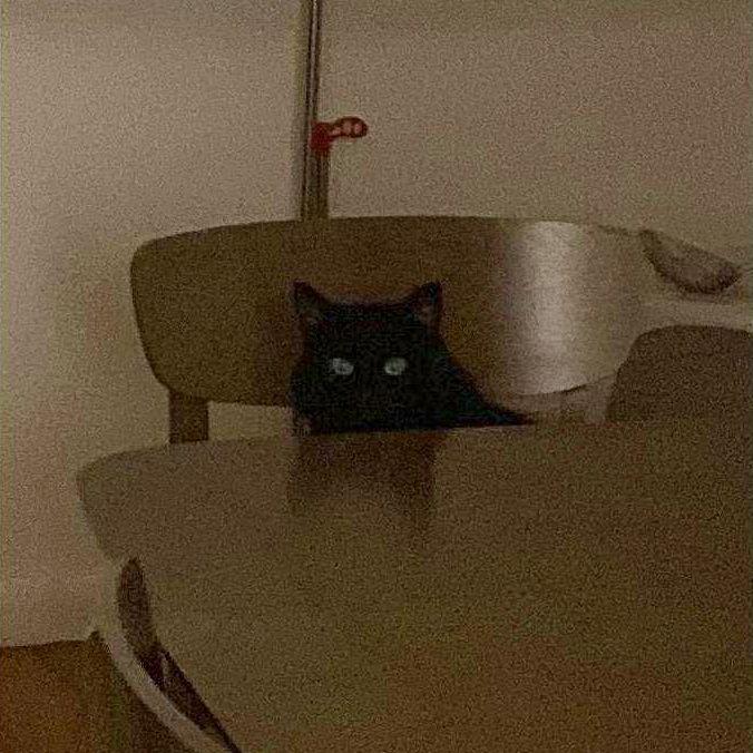 We first said "I love you" right before our friend snapped this pic of us