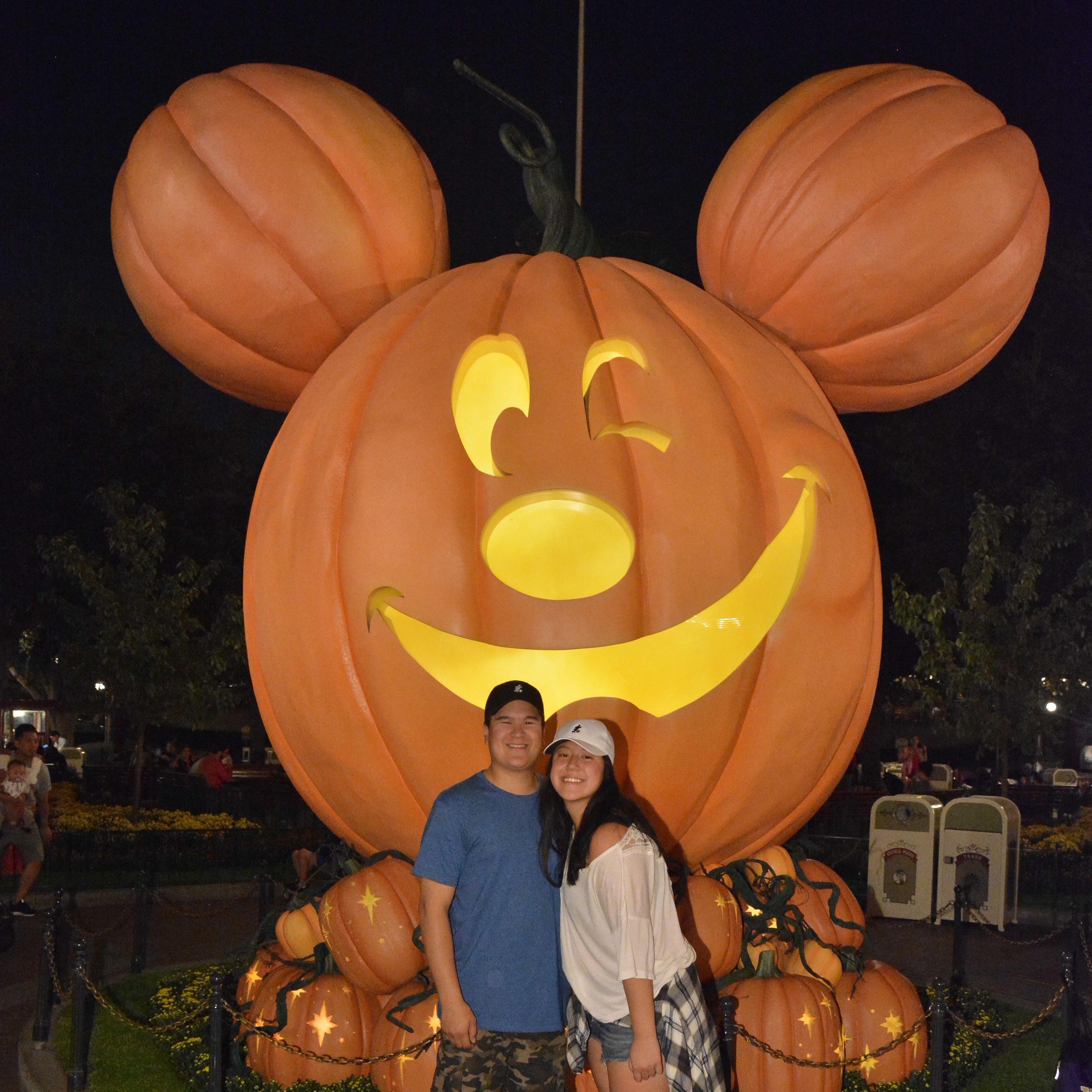 Disneyland 2017