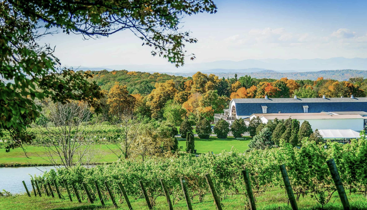 The Wedding Website of Arden Witheford and Robert Spielvogel