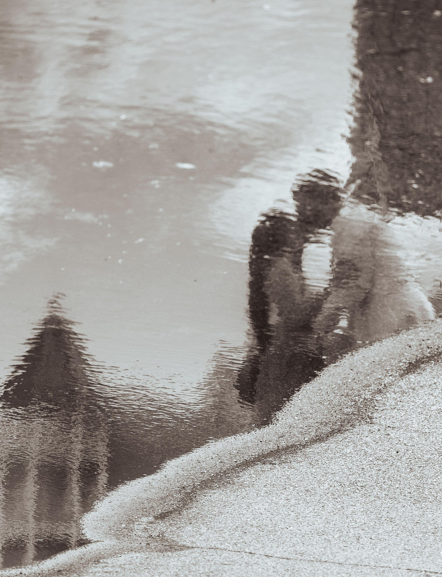 The Wedding Website of Daniel Donovan and Maureen Duggan
