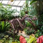 UNC Charlotte Botanical Gardens