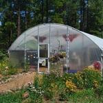 The Arboretum At Flagstaff