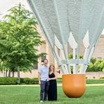 The Nelson-Atkins Museum of Art