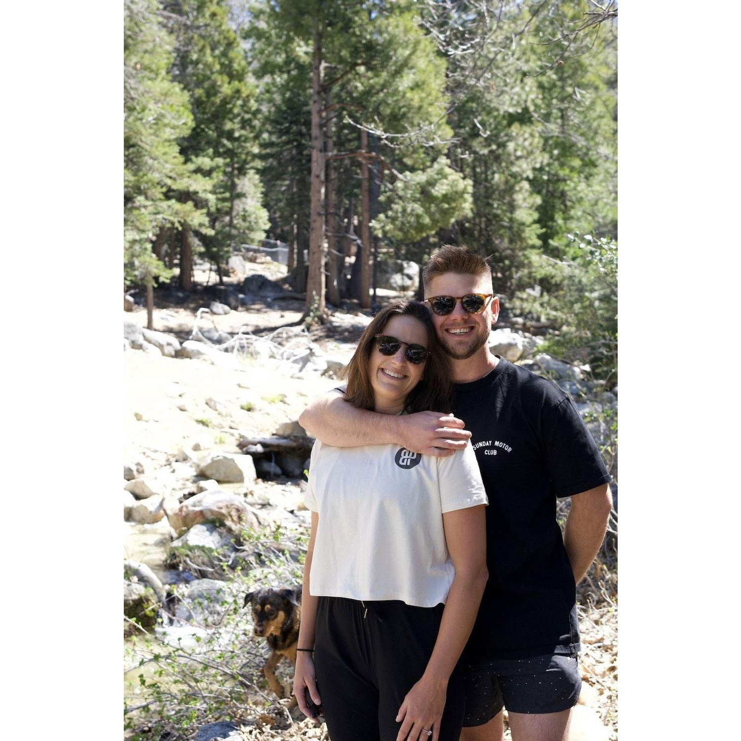 Idyllwild cabin days