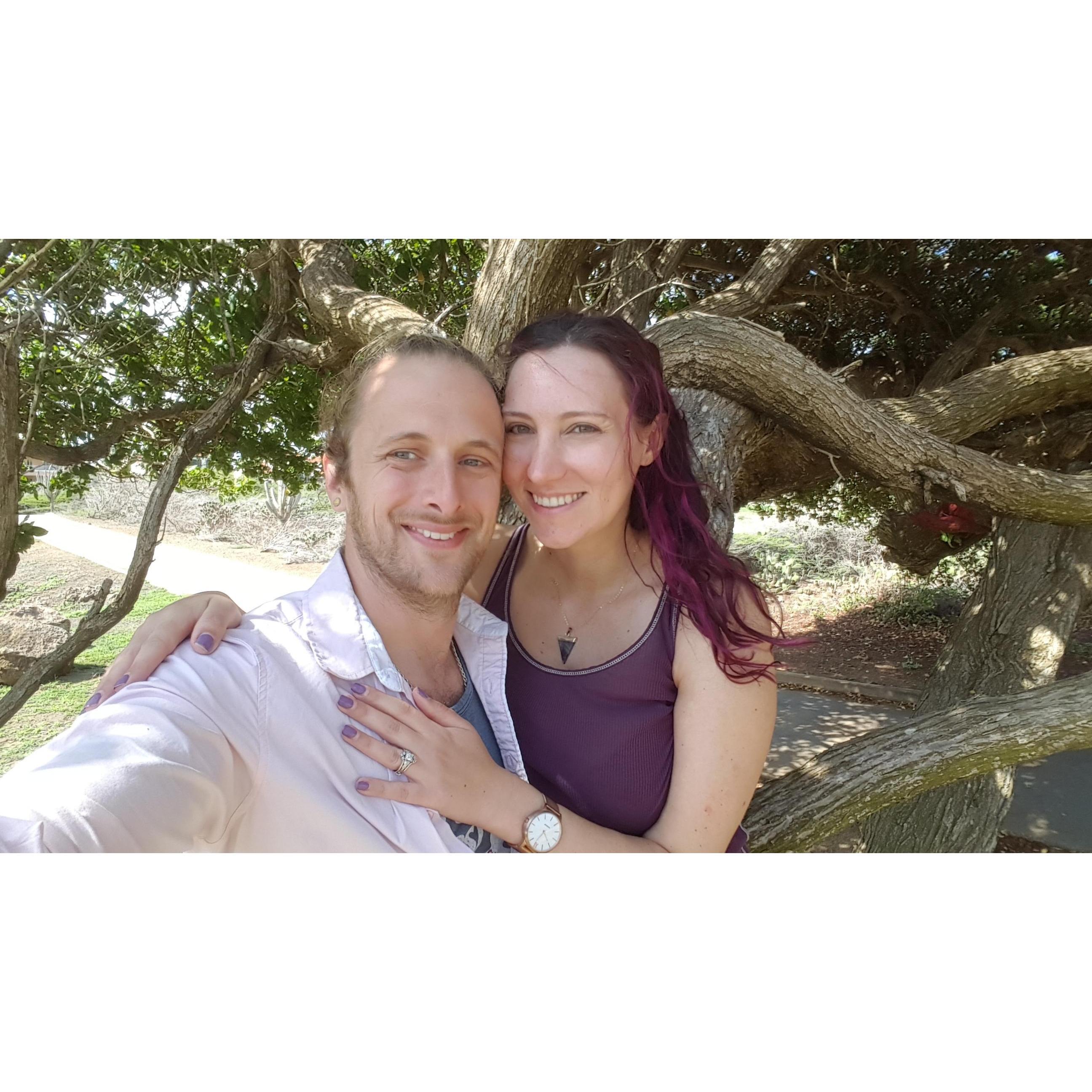 This was the beautiful divi divi tree in Aruba where Trevor proposed. We went back for a picture the next day!
