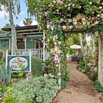The Tea House on Los Rios