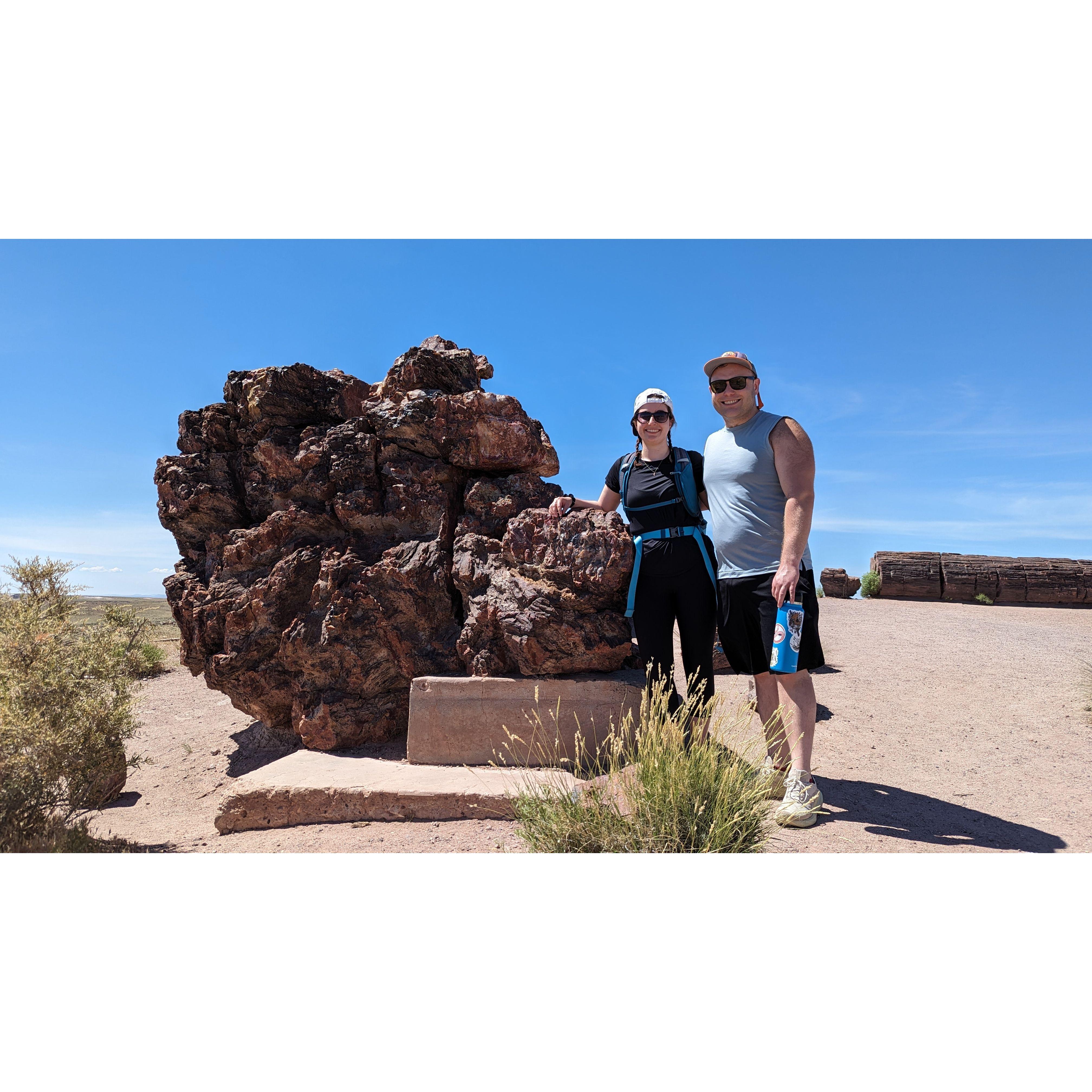 Petrified Forest National Park (Arizona, 2024)