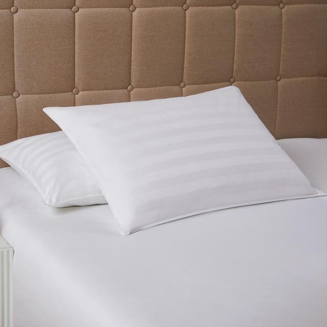 DOWNLITE Low Profile 250 TC 525 FP White Down Pillow - Stomach Sleepers Only Very Flat Jumbo