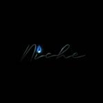 Niche 385