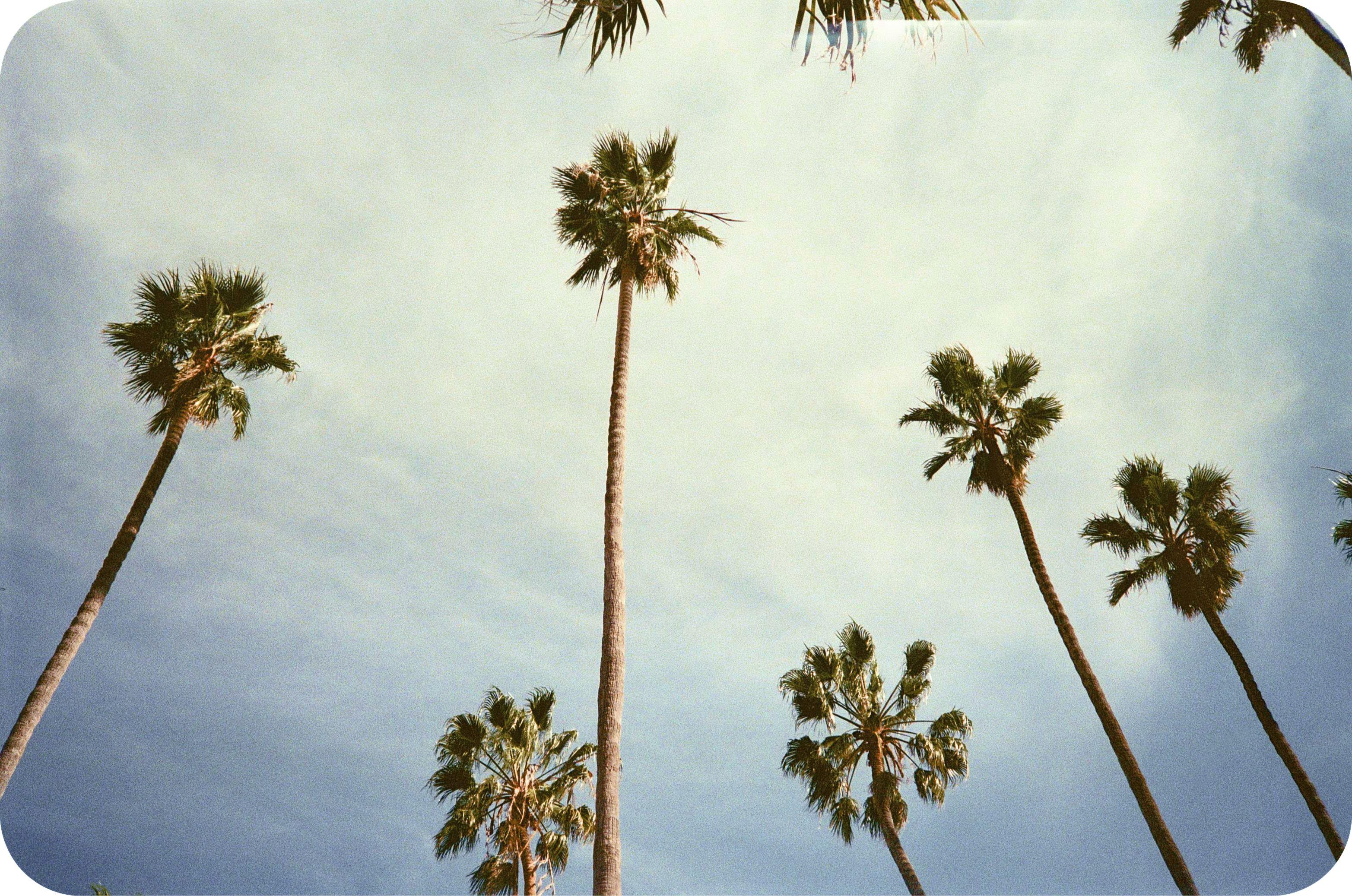 The Wedding Website of Samyr Qureshi and Kelly McDonald