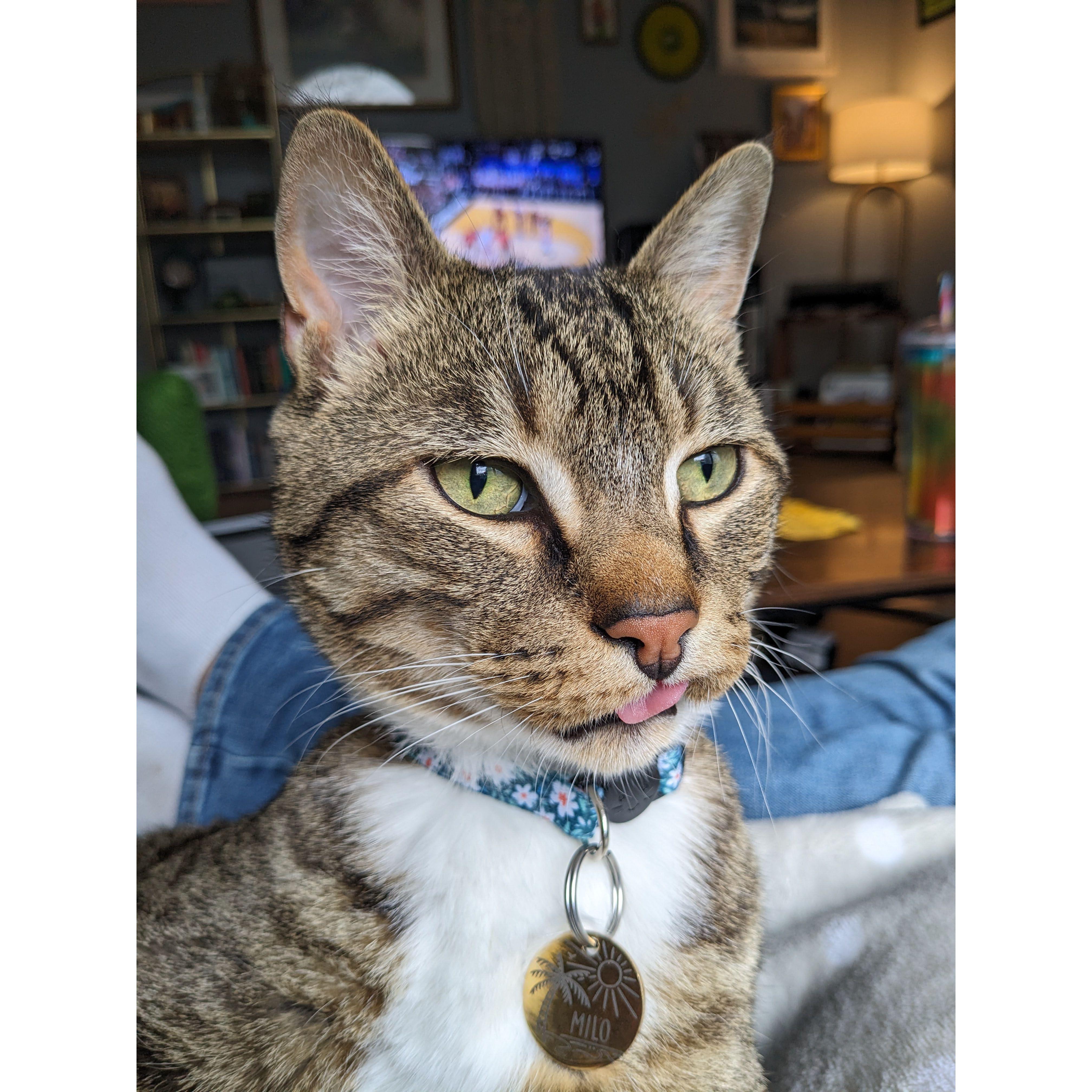 Milo Ulysses