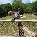 Cleveland Metroparks Zoo
