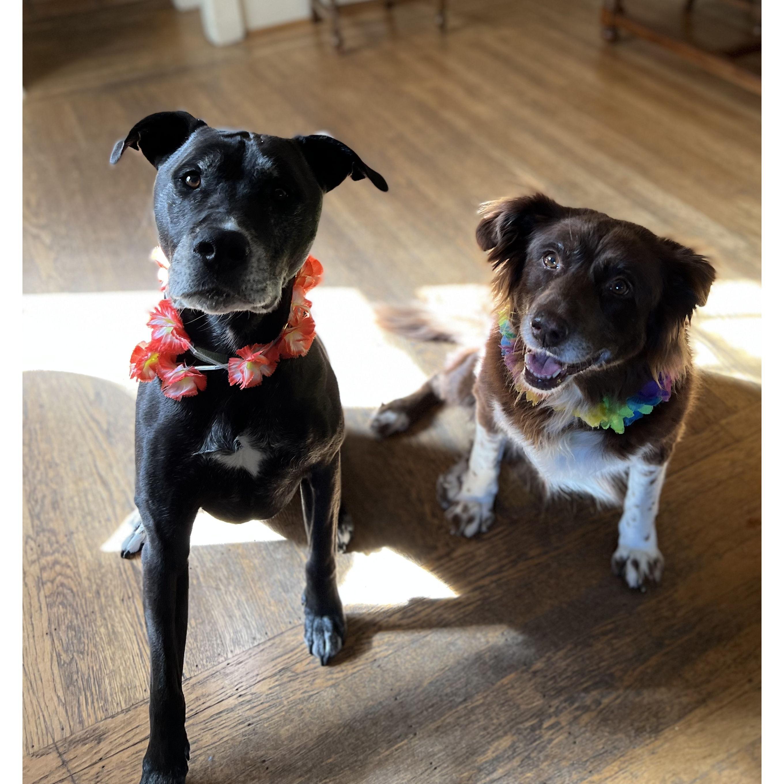 Oba and Nami with their party leis :)