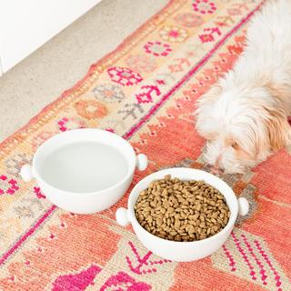 Bobble Bowl