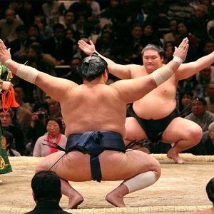 Japan Sumo Match