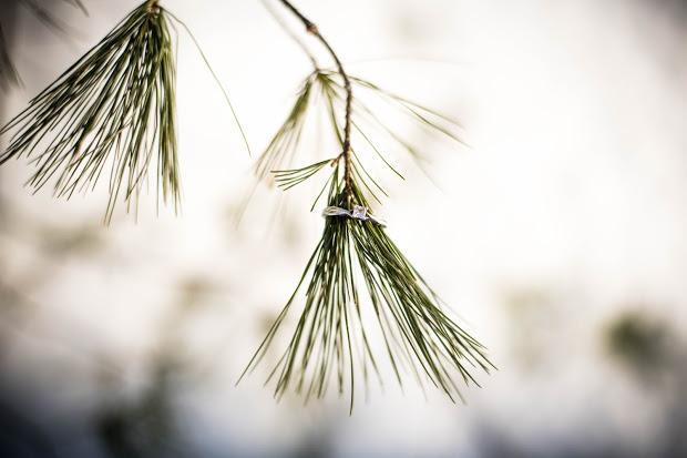 The Wedding Website of Dylan Vogel and Aaron Wright