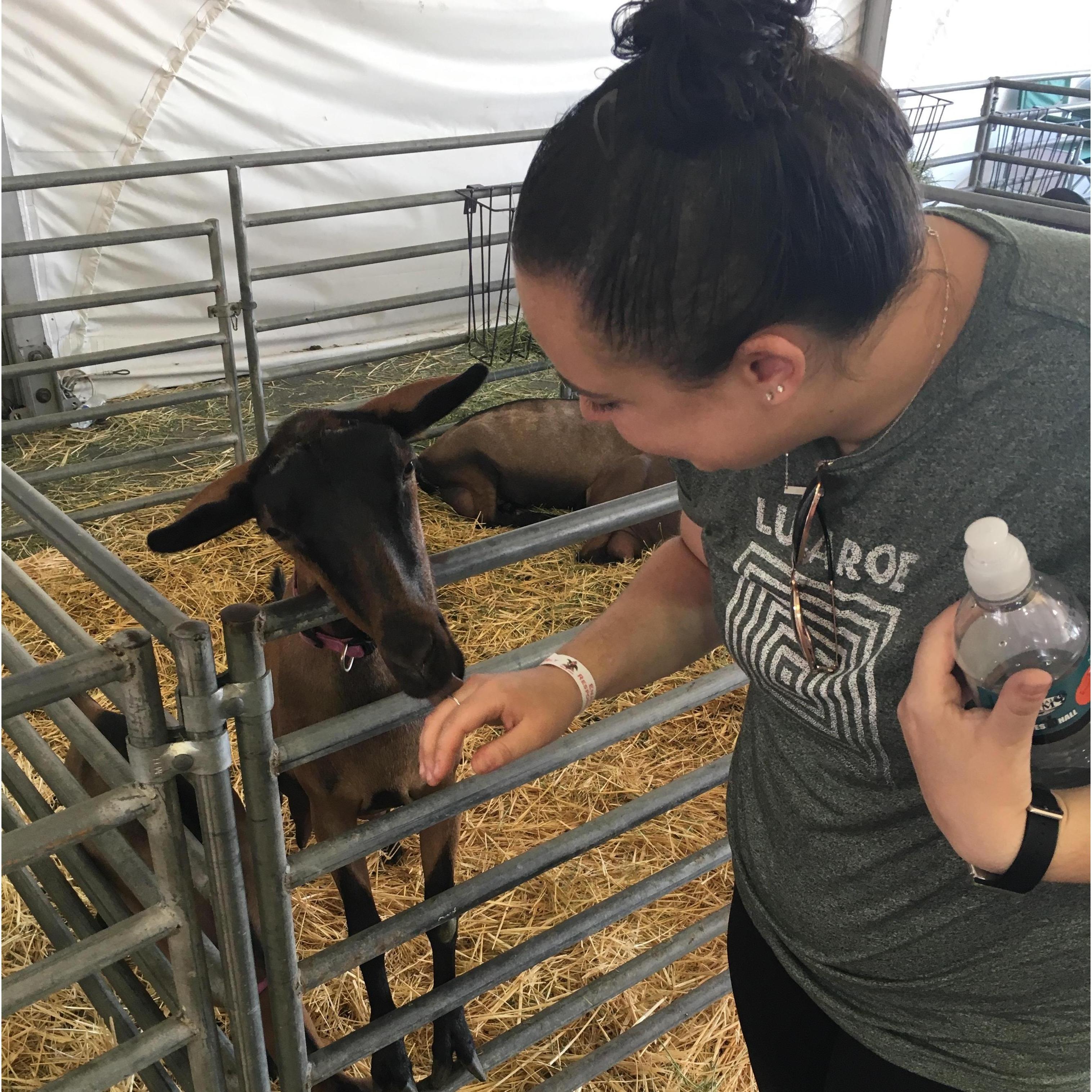 Don't mind the animal lover....