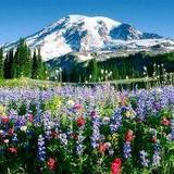 Mount Rainier National Park
