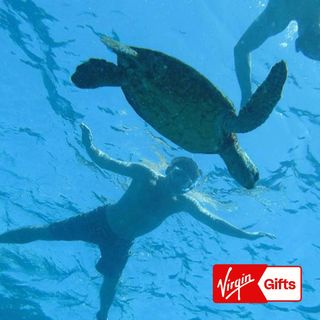 Captain Cook Snorkeling Expedition for 2 - Hawaii