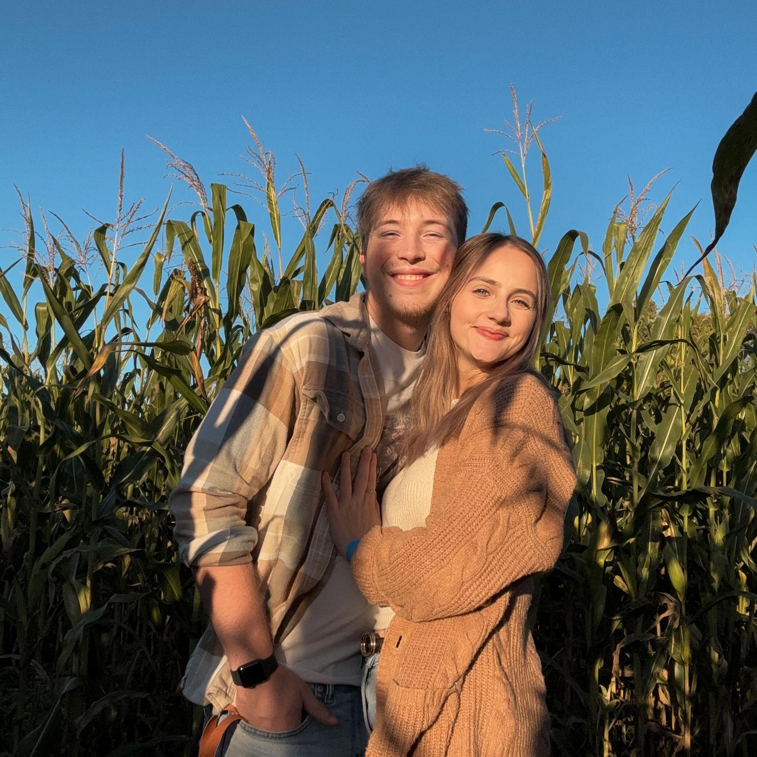 Pumpkin patch 2024 - pictured in the corn maze this year