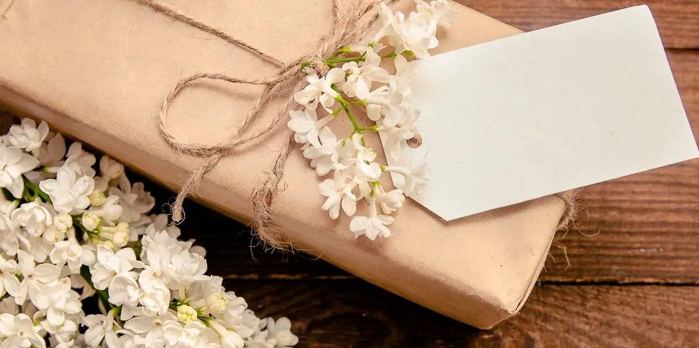 9b18adfb-6cd4-4d77-8245-04c8d2ed2ff8